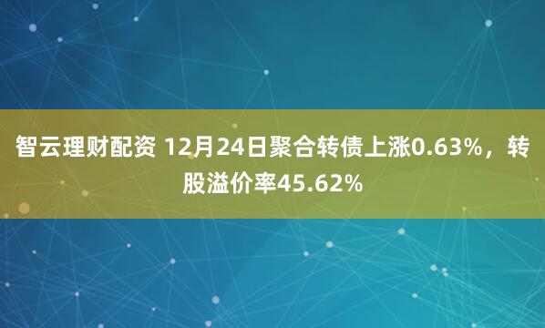 智云理财配资 12月24日聚合转债上涨0.63%,转股溢价率45.62%